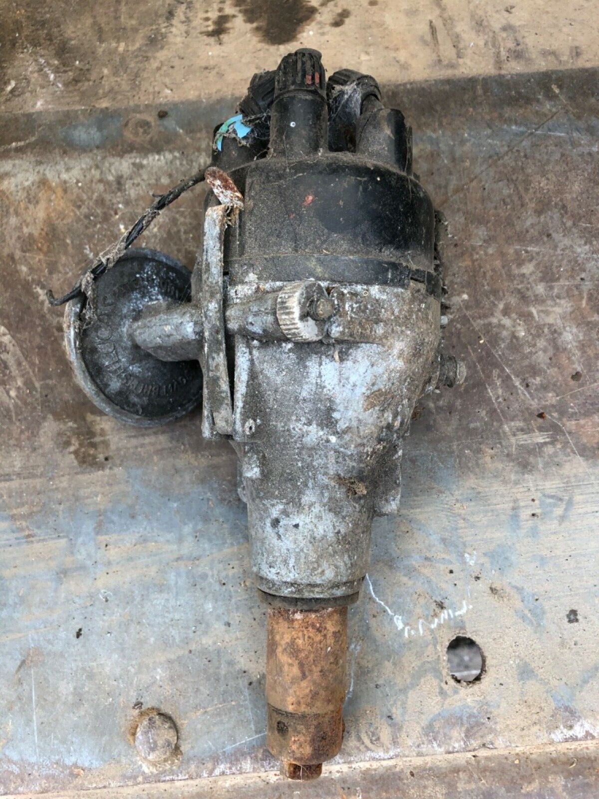 Jaguar E-Type S1 3.8 EARLY - 1961 Flat Floor Distributor - C14269R
